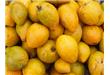 芒果吃多了会长胖吗
