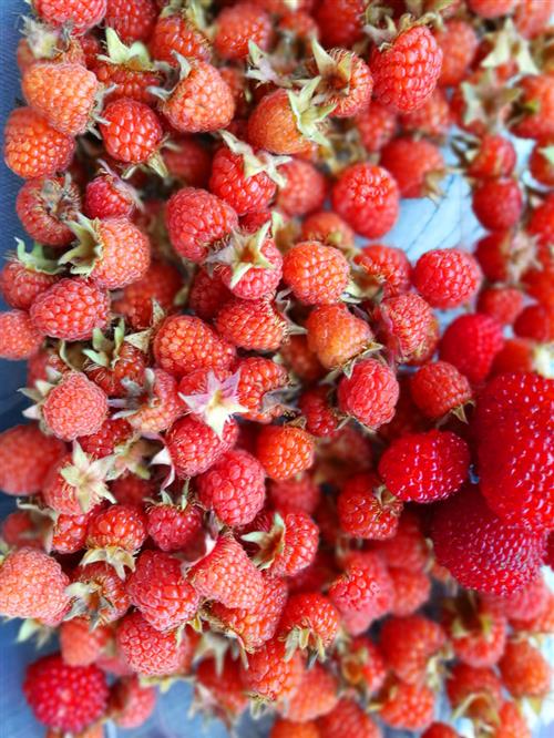 .新鲜草莓和树莓果汁