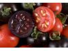 英研究人员基因改造育出“紫色番茄”能抗癌