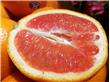 8种秋季水果让你吃出水润好皮肤（2）