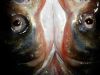 鱼眼有什么营养价值？