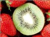 水果有七种吃法最损害健康（2）