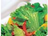 蔬菜熟吃会破坏纤维素吗 ？