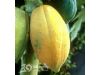 木瓜14种美容丰胸吃法大搜罗（6）