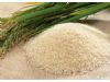 健康：科学吃米饭 可以防慢性病（2）