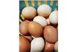 吃鸡蛋的10个常见误区
