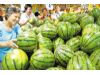 应季水果天津大量上市 西瓜价格同比降近2成