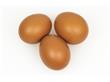 减肥时早餐吃鸡蛋能多减2/3体重