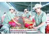全国最大番茄酱罐装生产基地在沙县建成