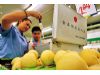 重庆市食品安全立法 13个问题请提建议
