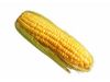哪种玉米更营养？怎么吃？（2）