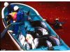 日本太地町渔民大肆捕杀海豚 手段极其残忍