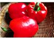 辣椒的维生素C含量居蔬菜之首位