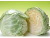 每天必吃的九种防癌抗癌蔬菜（6）
