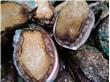 十种食物堪比伟哥：牡蛎有利于精子生成（2）