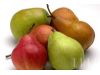 健康：6种黄色水果清热最有效（5）