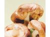 蘑菇专家教你如何选蘑菇