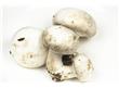 杭州不少“菜篮子”有点急 蘑菇真的能被漂白吗？