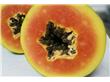 减肥水果：木瓜可助减重护肤