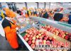 万荣县华荣苹果将出口加拿大水果市场