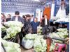 天津市蔬菜批发价格下降 大部分降至每公斤2元以下