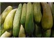 夏天减肥6种瘦身蔬果 吃出苗条身材