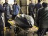 日本蓝鳍金枪鱼拍出史上最高价 一港商连续4年中标