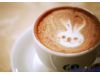 饮食：咖啡的10个事实 咖啡剂量很要命（6）