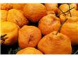 饮食警惕：吃橘子常见两错误 鲜橘皮泡水无益反伤身