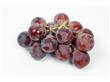 养生：6种春季水果 可增强抵抗力（5）