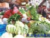 春暖花开一元菜重回青岛市场 品种超10个