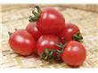 养生：西红柿的十大治疗功效（8）