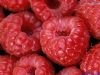 养生：十种美味水果 让MM们也能轻松吃出苗条