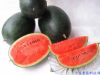 水果养生：夏天吃西瓜的八大禁忌