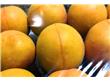 公认最健康的十大类养生水果（2）