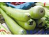 养生：夏季7种蔬菜可巧妙对付湿疹（4）