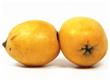 夏季养生：常吃12种瓜果能防百病（4）