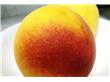 养生：西瓜降压枇杷止咳 夏季享健康要常吃12种瓜果（7）