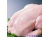 养生警惕：吃鸡肉时应该避开的九种食物（4）