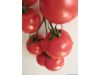 养生：关于西红柿的7个“意想不到”