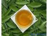 高血压养生：喝十种茶 有效缓解高血压（3）