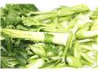 养生：蔬果做“保洁工”清除12种体内毒素（7）