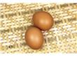 养生：各种鸡蛋营养大不同（6）