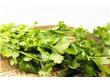 饮食需知：盘点营养全能冠军绿叶蔬菜(3)