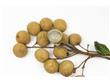 季节养生：秋季水果桂圆的十个养生方（8）