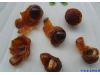 季节养生：秋季水果桂圆的十个养生方（9）