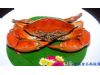 秋季美食蟹第一 盘点食用螃蟹的八大禁忌（5）