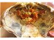 教你做个家常菜：咖喱软壳蟹