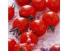 番茄减肥美白养生功效多 须知吃法有禁忌（2）