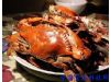 养生盘点：秋季食用螃蟹常见的15大禁忌（14）
